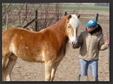 paddock_stall_ohretal-18