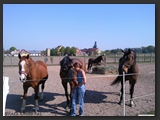 paddock_stall_ohretal-20