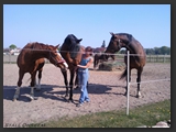 paddock_stall_ohretal-21