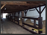 pferdeboxen_stallgasse_stall_ohretal-1