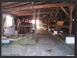 pferdeboxen_stallgasse_stall_ohretal-12