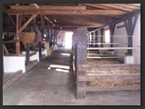 pferdeboxen_stallgasse_stall_ohretal-6
