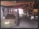 pferdeboxen_stallgasse_stall_ohretal-8