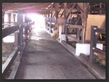 pferdeboxen_stallgasse_stall_ohretal-9
