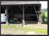 pferdeboxen_stallgasse_stall_ohretal