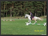 reitplatz_stall_ohretal-11