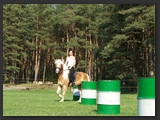 reitplatz_stall_ohretal-12