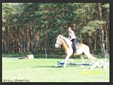 reitplatz_stall_ohretal-13