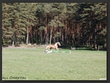 reitplatz_stall_ohretal-17
