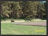 reitplatz_stall_ohretal-5