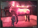 solarium_stall_ohretal