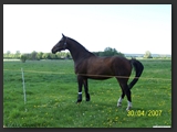 Weideflaechen_Stall_Ohretal-1