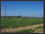 Weideflaechen_Stall_Ohretal-11