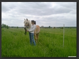 Weideflaechen_Stall_Ohretal-21