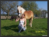 Weideflaechen_Stall_Ohretal-28