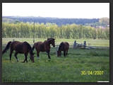 Weideflaechen_Stall_Ohretal-3
