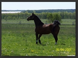 Weideflaechen_Stall_Ohretal-32