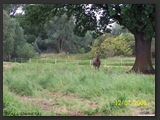 Weideflaechen_Stall_Ohretal-6