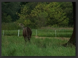 Weideflaechen_Stall_Ohretal-7
