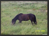 Weideflaechen_Stall_Ohretal-8